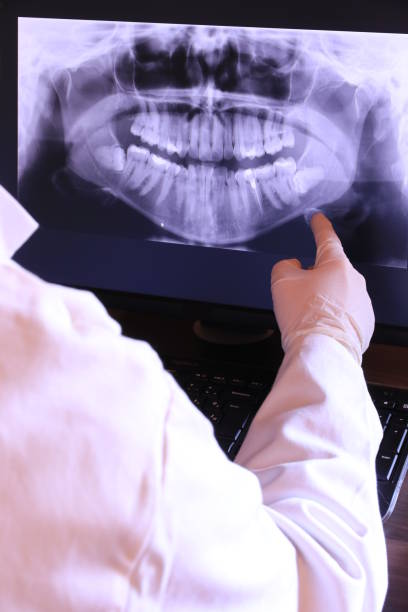 Best Emergency X-Rays and Diagnostics in Lake Bluff, IL